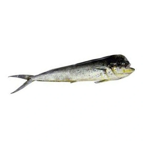 Mahi Mahi/motha(cut Pieces)/Kg