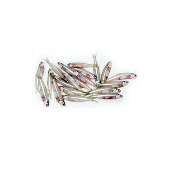 Anchovy/kozhuva