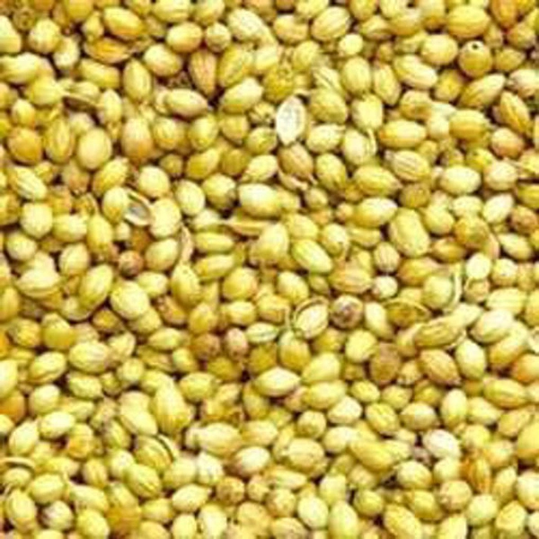 Coriander - దనియాలు