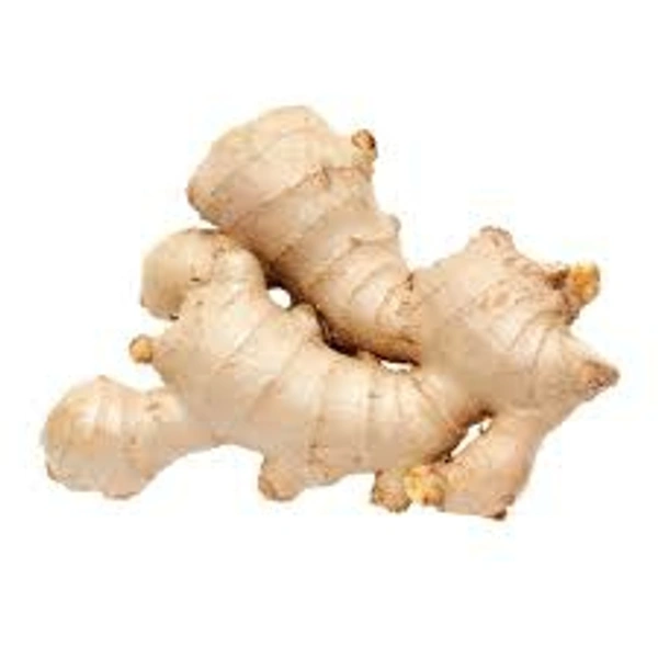 Ginger - అల్లం( పాతది )