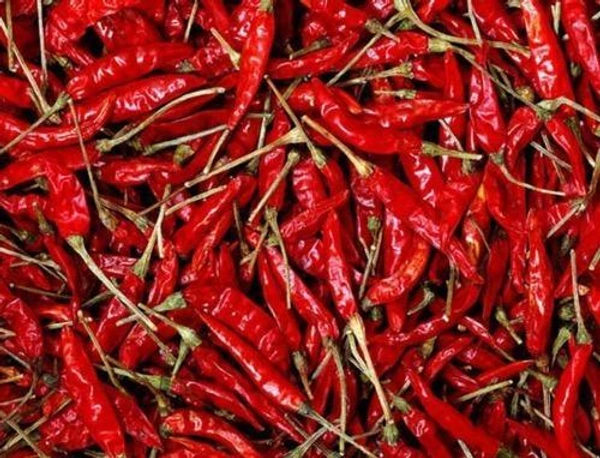 Dry Red Chilli's - ఎండుమిర్చి