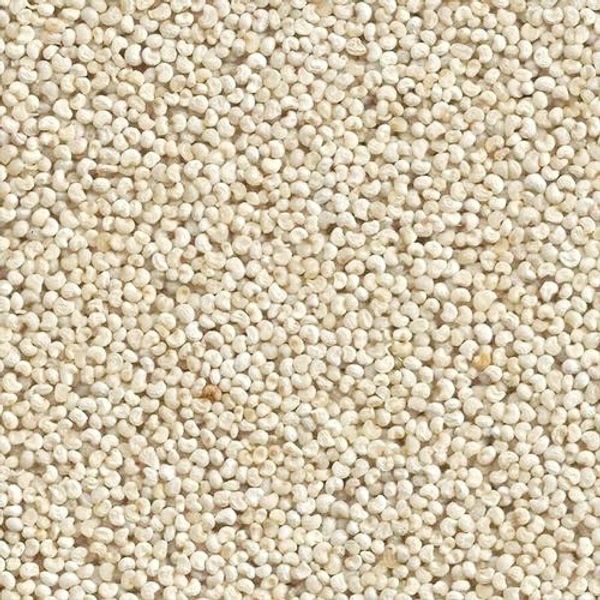 Poppy Seeds - గసగసాలు