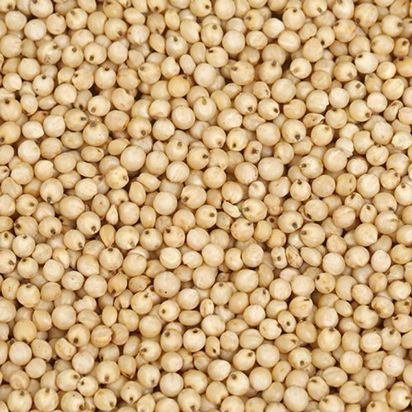 White Jowar - తెల్ల జొన్నలు