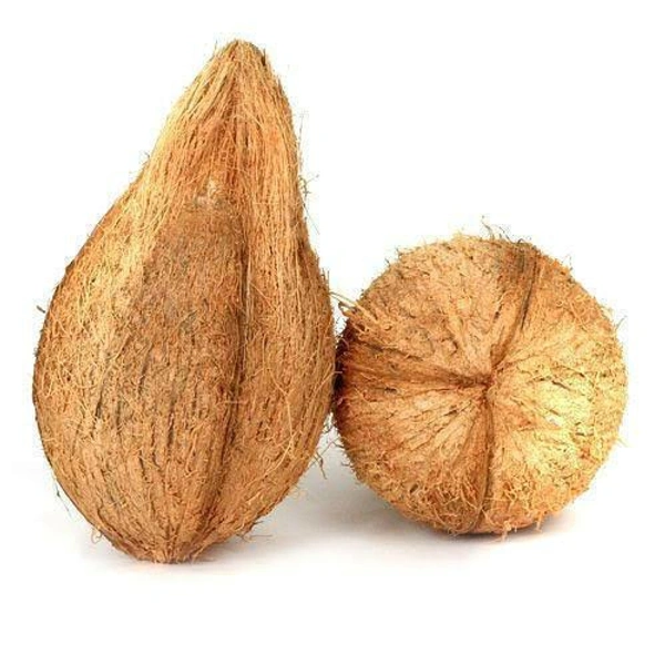 Coconut - కొబ్బరికాయ