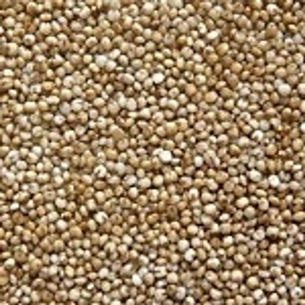 Kodo Millets - అరికెలు