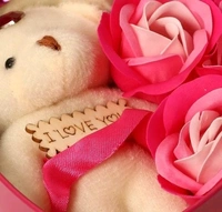 Roses and TeddyBear with  Heart Shape Beautiful Box perfect Valentin  Gift for His/Her ,Kids, Parents For Everyone - PINK