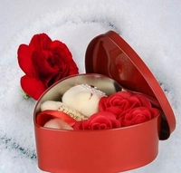 Roses and TeddyBear with  Heart Shape Beautiful Box perfect Valentin  Gift for His/Her ,Kids, Parents For Everyone - Red Pink