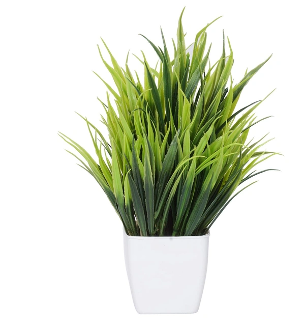 Dekorly  Bonsai Wild Artificial Plant with Pot