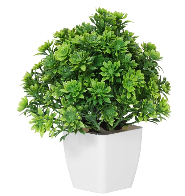 Dekorly  Bonsai Wild Artificial Plant with Pot