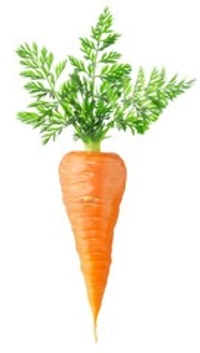 CARROT (गाजर) - 1 KG