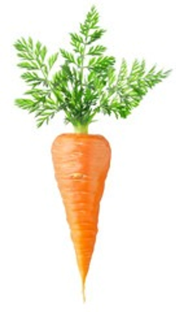 CARROT (गाजर) - 1 KG