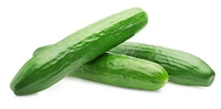 CUCUMBER (खीरा ) - 5 KG