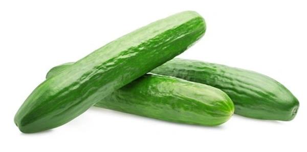 CUCUMBER (खीरा ) - 5 KG