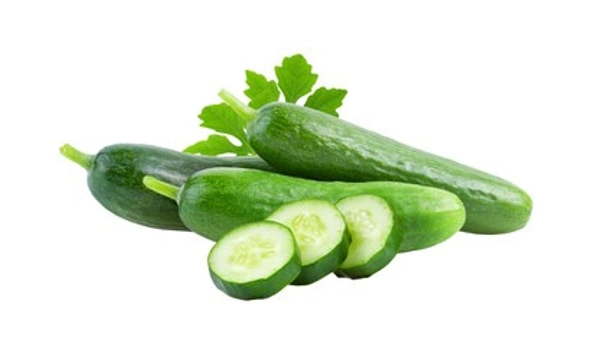CUCUMBER (खीरा ) - 5 KG