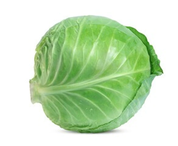 CABBAGE ( पत्ता गोभी) - 2 KG