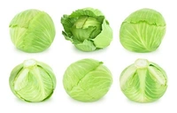 CABBAGE ( पत्ता गोभी) - 2 KG