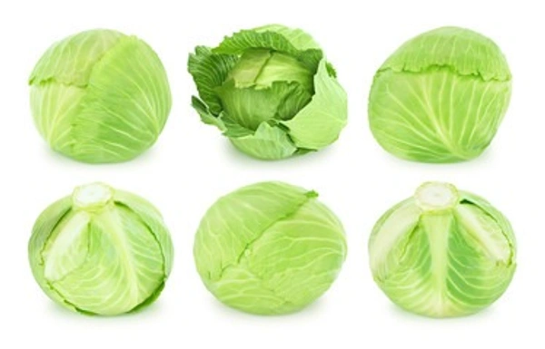 CABBAGE ( पत्ता गोभी) - 2 KG