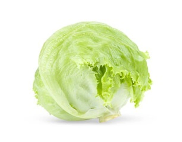 CABBAGE ( पत्ता गोभी) - 2 KG