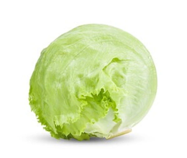 CABBAGE ( पत्ता गोभी) - 3 KG