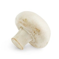 MUSHROOM (कुम्भी) - 500 GM