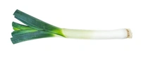 SPRING ONION (हरा प्याज ) - 1 KG