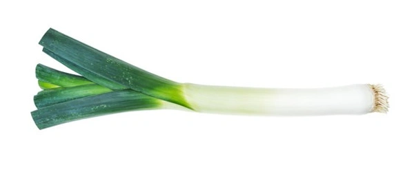 SPRING ONION (हरा प्याज ) - 1 KG