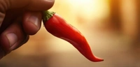 RED CHILLI (लाल मिर्च) - 1 KG