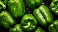 Green cepsicum (हरी शिमला ) - 5 KG