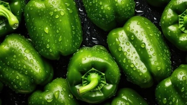 Green cepsicum (हरी शिमला ) - 5 KG