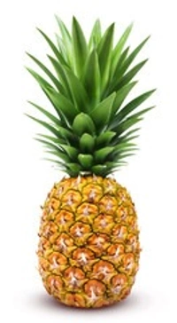 Pineapple ( पाइनएप्पल अनानास) - 2 KG