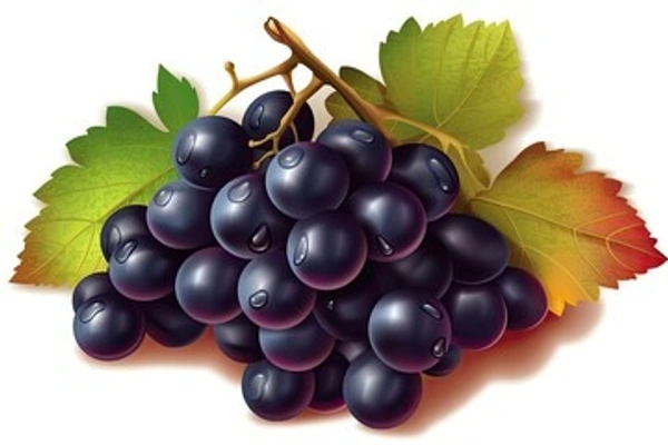 Black grapes (काला अंगुर) - 1 KG