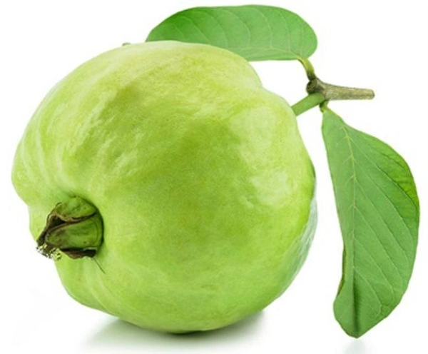 Guava ( अमरुद ) - 2 KG