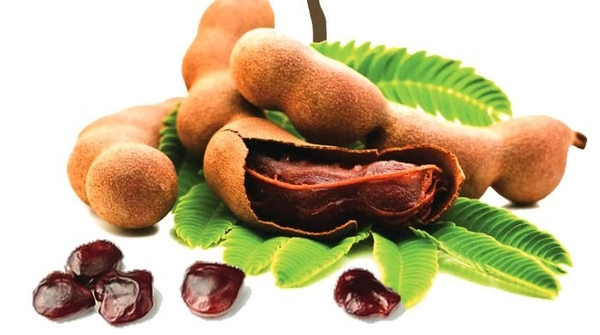 Tumarind ( ईमली ) - 1 KG
