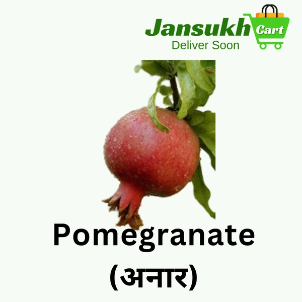 Pomegranate (अनार) - 5 KG