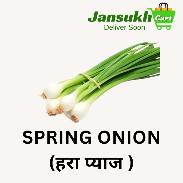SPRING ONION (हरा प्याज ) - 1 KG