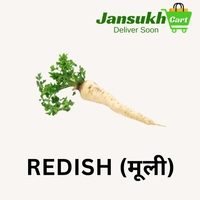 REDISH (मूली) - 500 GM