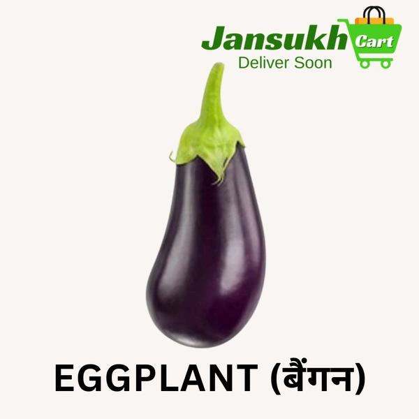 EGGPLANT (बैंगन) - 500 GM