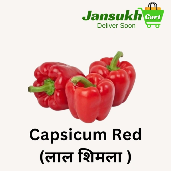 Capsicum Red (लाल शिमला )