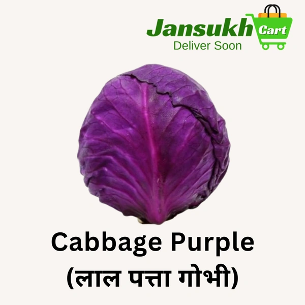 Cabbage Purple (लाल पत्ता गोभी) - 1 KG