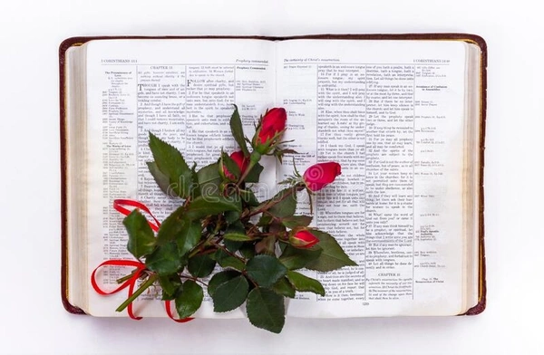 English Bible - Red, 13.4