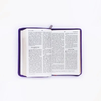 Small Jesus Bible (Hindi)  - Blue, 7.4