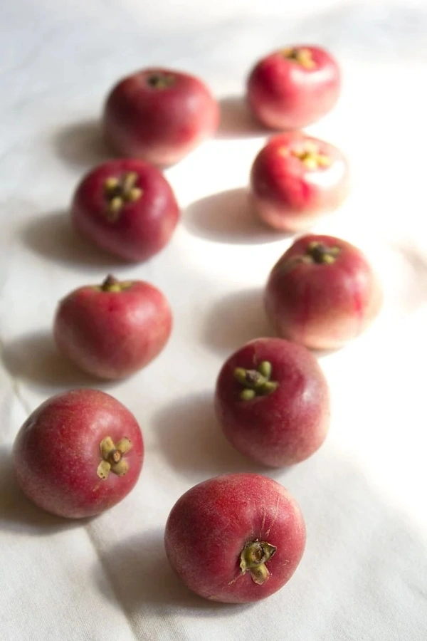 Kokum Syrup (Home Made) / ಪುನರ್ಪುಳಿ ರಸ  - Wine Red, 1.5 Kg