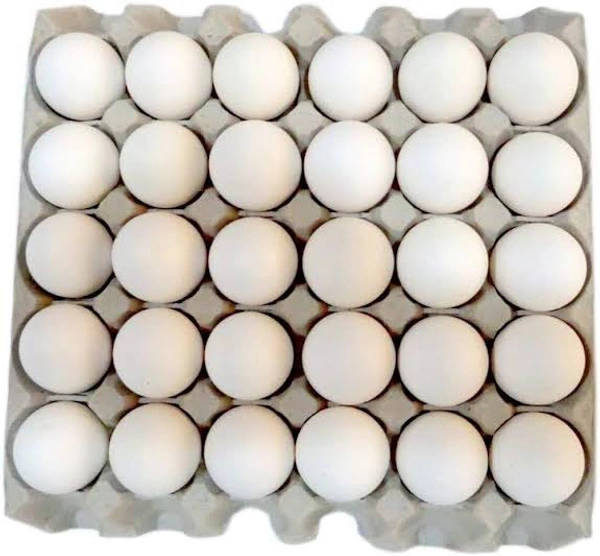 WHITE EGGS 