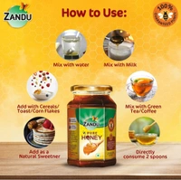 Zandu 100% Pure Honey - 500G