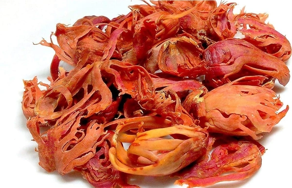Mace - Javitri - 25g - 