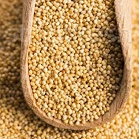GAYATRI FRESH  KHUSKHUS 50gm