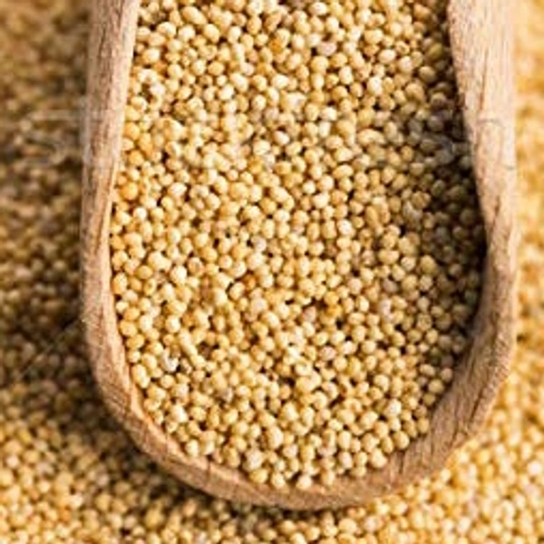GAYATRI FRESH  KHUSKHUS 50gm