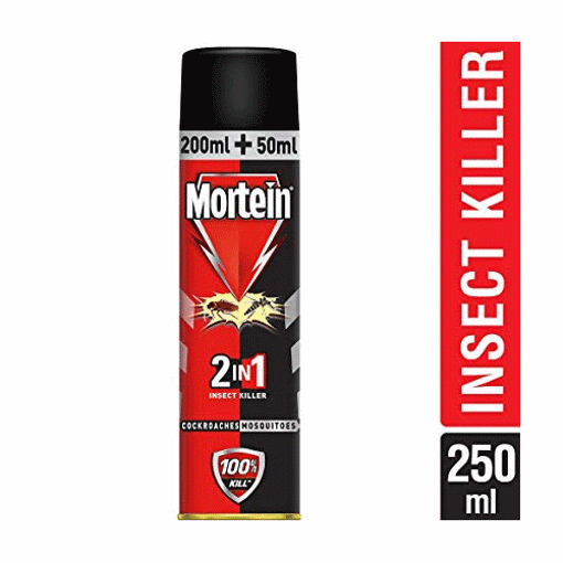 MORTEIN 2 IN 1INSECT KILLER COCKROACHES MOSQUITOES 250ml