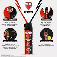MORTEIN 2 IN 1INSECT KILLER COCKROACHES MOSQUITOES 250ml