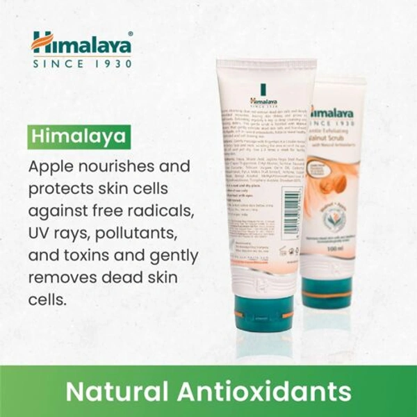HIMALAYA  GENTLE EXFOLIATING WALNUT SCRUB 100gm